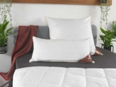 HÄUSSLING Royal Kopfkissen mit Federn & Daunen 29.99 €