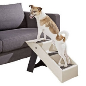 Mobile Hundetreppe