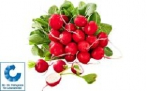 Radieschen 0.29 €