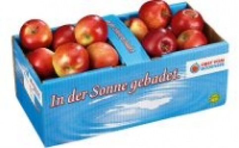 Tafel&auml;pfel rot 2.49&nbsp;&euro;