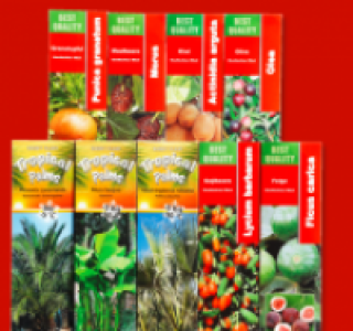K&uuml;belpflanzen f&uuml;r den Sommer