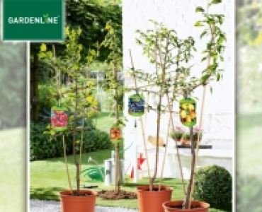 GARDENLINE®Spalier- oder Säulenobst 13.99 €