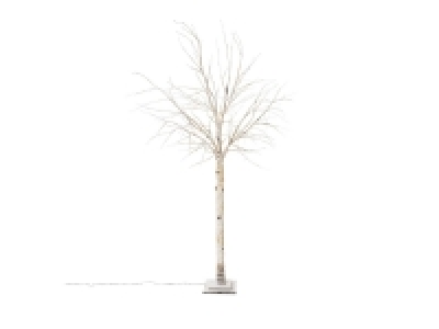 Pureday LED-Birke Crema