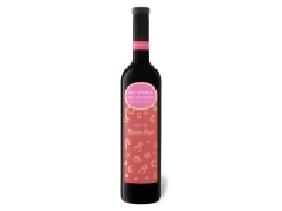 Lidl  Rectoral de Amandi Mencía Ribeira Sacra DOP trocken, Rotwein 2019