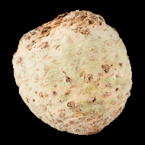 Knollensellerie 1.00&nbsp;&euro;