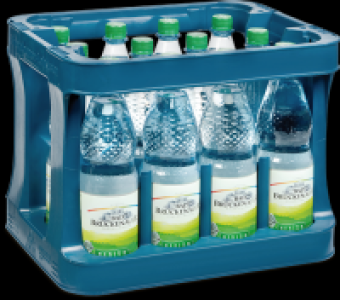 BAD BRÜCKENAUER KISTE Bad Brückenauer Medium 6.97 €