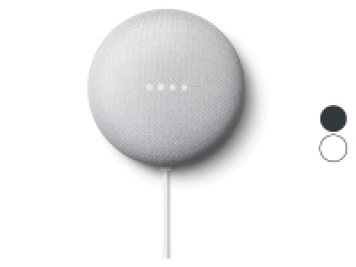 Lidl Google Google Nest Mini