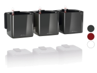 Lechuza Pflanzentöpfe »Green Wall Home Kit«, L 48 x B 15 x H 15 cm 64.99 €