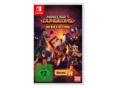 Nintendo Minecraft Dungeons Hero Edition