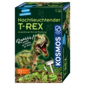 KOSMOS Mitbring-Experiment