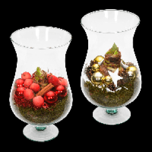 GARDENLINE Amaryllis im Glasschwenker 12.99&nbsp;&euro;