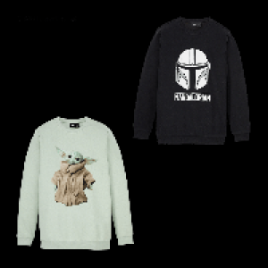 Sweatshirt 14.99 €