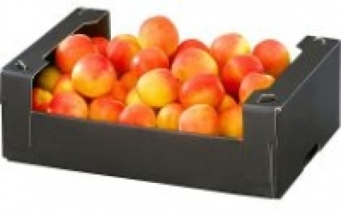 Aprikosen 3.33 €
