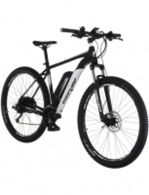 E-Bike »MONTIS EM 1724«, Kettenschaltung