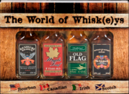 Netto  The World of Whisk(e)ys 40,0 % vol 4 x 40 ml