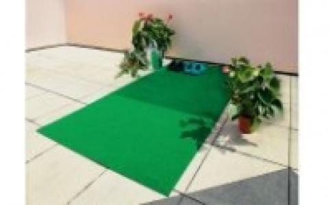 Rasenteppich 5.99 €