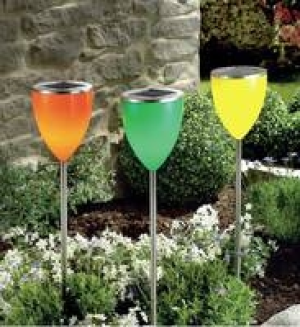 Solartulpe 14.99 €
