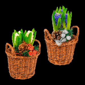 GARDENLINE Hyazinthen im Korb 3.99 €